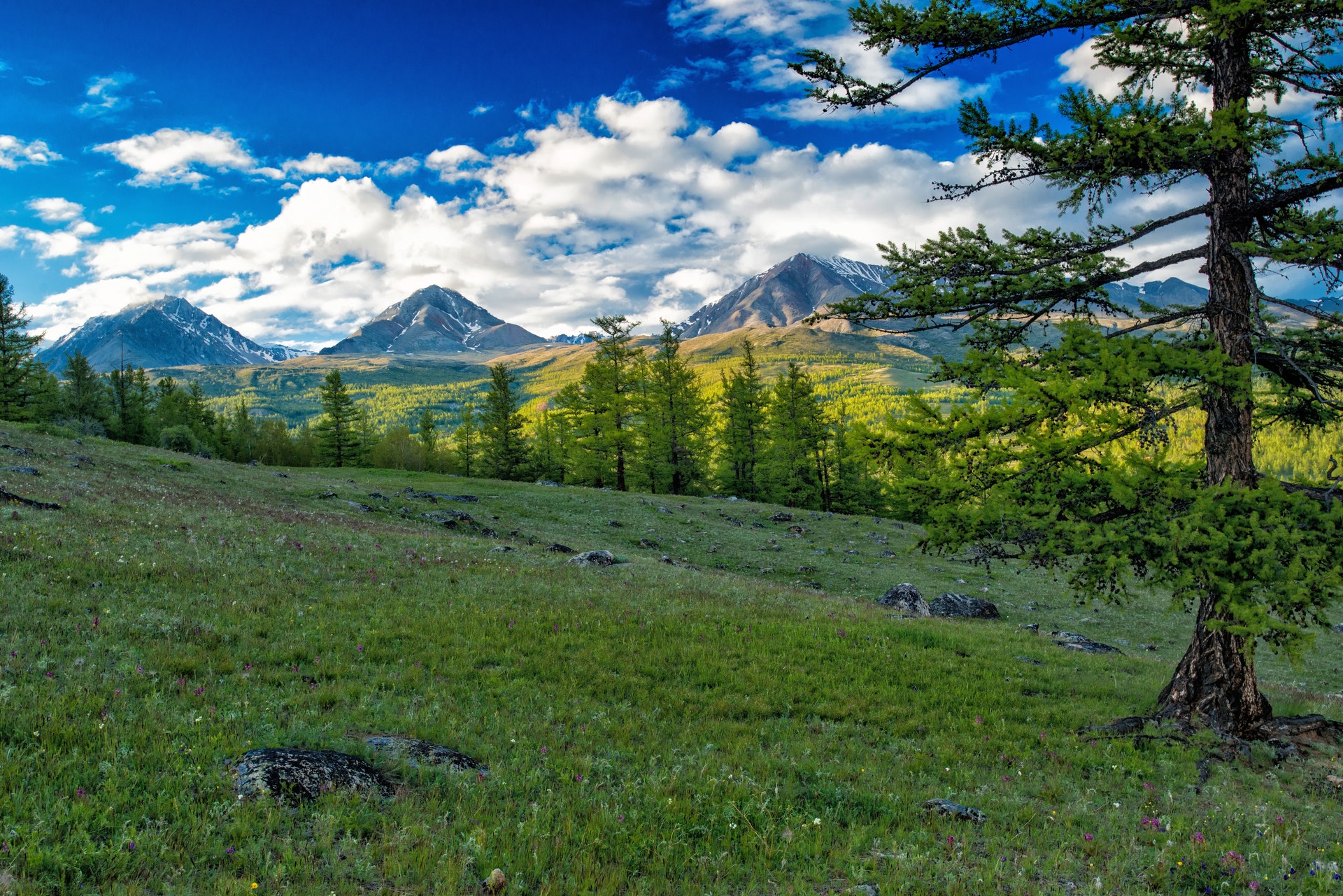 Hikers on a mountain trail under clear sky