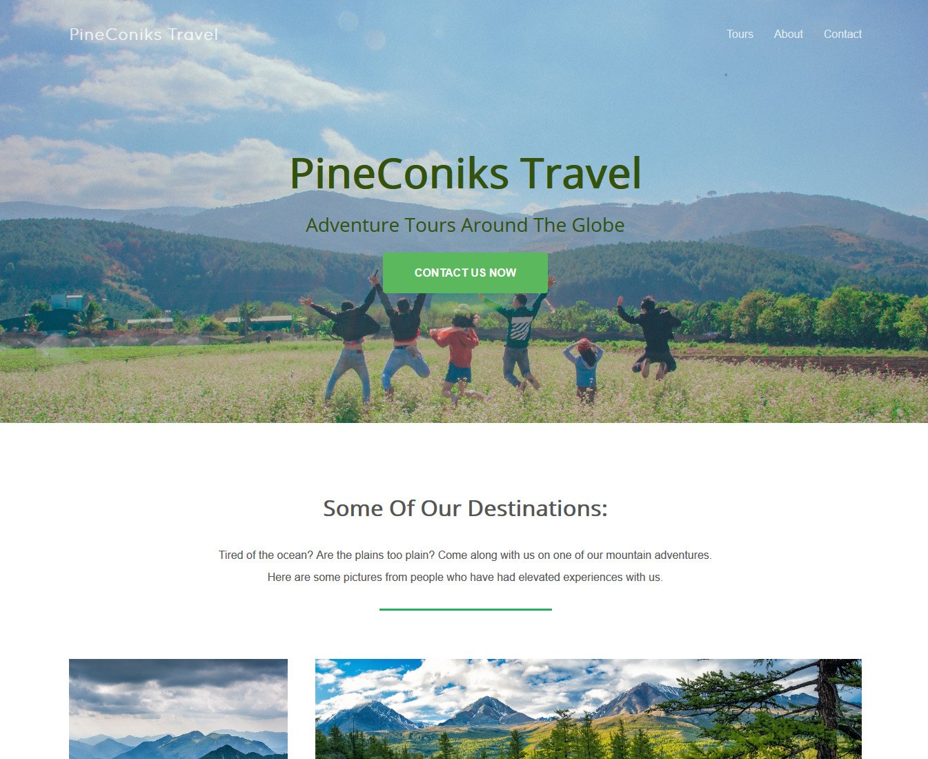 PineConiks Travel site